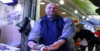 Balık, Karadenizden Ege Ve Akdenize Göç Ediyor