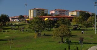 Başkan Toçooğlu Projeleri İnceledi