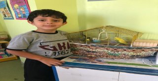Gkv Anaokulu Öğrencilerinin Hayvan Sevgisi