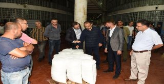 Aktaştan Balık Haline Ziyaret