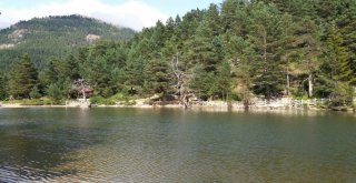 Limni Gölü Rekor Tazeledi