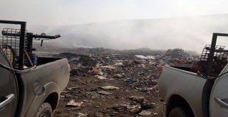 Cizre Belediyesi İlaçlama Çalışmalarına Devam Ediyor