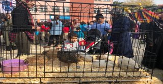 Okullarına Gelen Sevimli Misafirler Öğrencileri Coşturdu