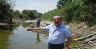 (Özel) Türkiyenin Can Damarı Sakarya Nehri Kurumaya Yüz Tuttu