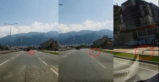 Bursada Motora Saklanan Kedi Kilometrelerce Dolaştı