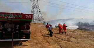 Bingöl Valiliği: Zarar Tespit Çalışması Devam Ediyor