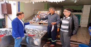 Yozgatta Tezgahların Gözdesi Palamut Balığı Oldu