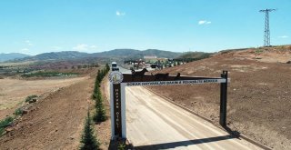 5 Yıldızlı Hayvan Barınağı Açılıyor