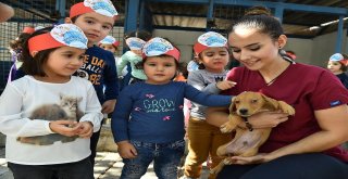 Hayvan Barınağında Çocuklara Hayvan Sevgisi