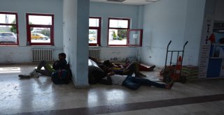 Pakistanlı Kaçakları İstanbul Diye Sinopa Bıraktılar