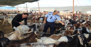 Aksuda Bayram Öncesi Denetim