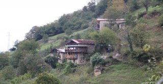 600 Metrelik Yolu Annesinin Sırtında Gidiyor