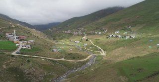 Hava Şartları Anzer Balını Vurdu