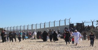 Suriyeliler Maraton Koşar Gibi Ülkelerine Gidiyor