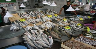 Denizlide Balıklar Tezgahlardaki Yerini Aldı