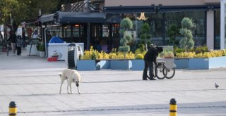 Çanakkalede Deniz Ulaşımına Kestane Karası Fırtınası Engeli