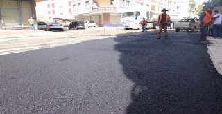 Kayyum Geldi, Siirtte Asfaltlanmayan Yol Kalmadı