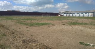 Gölpazarındaki Futbol Sahasının Çimleri Bakımsızlıktan Toprağa Dönüşmüş