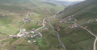 Hava Şartları Anzer Balını Vurdu