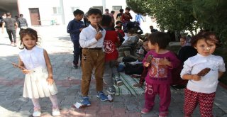 Vanda 145 Kaçak Mülteci Yakalandı