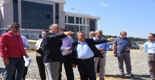 Ak Partili Maviş: Sinop Üniversitemizin Öğrenci Sayısı Daha Da Artacak