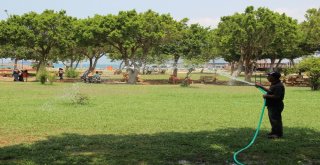 Hatayda Sıcaklar Sahillerin Boşalmasına Neden Oldu