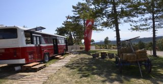 Safranbolunun ‘Tepetaklak Konağında Her Şey Alt Üst