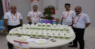Doğu Anadolunun Birbirinden Lezzetli Peynirleri Bitliste Buluştu