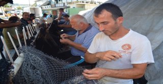 (Özel) Balıkçılardan Müjde, Denizde Bu Yıl Balık Çok