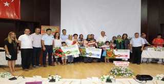 Gazipaşayı Ayşe Ergün Temsil Edecek