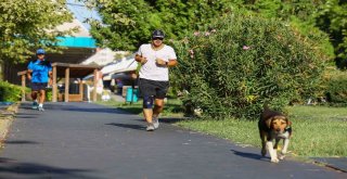 Nilüfer Parklarıyla Güzelleşiyor