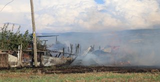 Ahır Ve Depo Olarak Kullanılan Baraka Küle Döndü