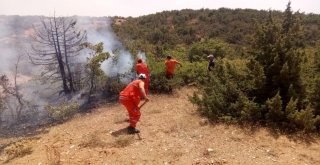 Bingölde Ormanlık Alanda Yangın