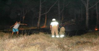 Ayvalıkta Orman Yangını