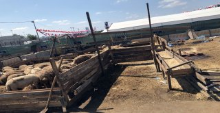 Bayramın 2Nci Gününde Kurban Pazarlarındaki Yoğunluk Azaldı