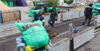 Ekmeklerini Kömürden Çıkarıyorlar