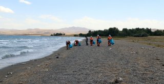 Van Büyükşehir Belediyesi Martı Ölümleri Sonrası Harekete Geçti