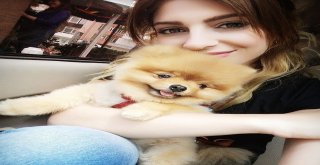 İnternetten 10 Aylık Diye Aldığı Köpek 4 Yaşında Ve Kalp Hastası Çıktı