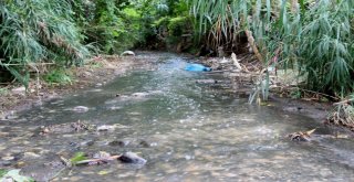 Hatayda Vatandaşların Dereye Akan Kanalizasyon Lağım Suyu Tepkisi