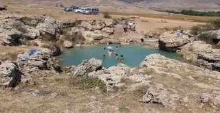 Uyuz Olan Bu Göle Koşuyor