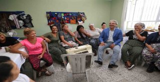 Roman Kooperatifinde Üretim Zamanı