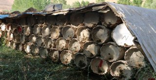 Siirtli Arıcıların Bitlis Dağlarındaki Bal Sağımı Sürüyor