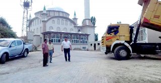 Havranda Ersoy, Boş Durmuyor