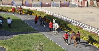 Jandarma Koşusunda Nefesler Tutuldu