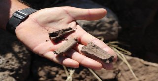 Define Ararken Mezarlıkları Tahrip Ettiler