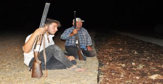 Çiftçinin Tüfekli Üzüm Nöbeti