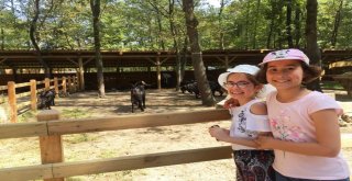 Kartepeli Çocukların Ormanya Keyfi