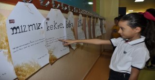 Gaziantep Kolej Vakfı İlkokulu Türk Dil Bayramını Kutladı