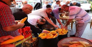 Rizede ‘1. Koliva Festivali