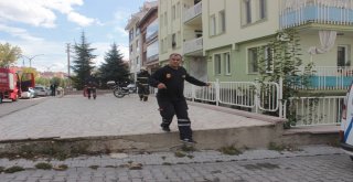 Yangında İlk Öncelik Kafesteki Kuşlara